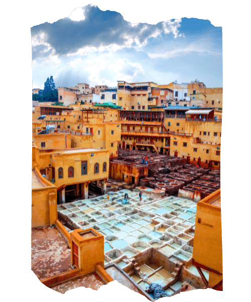 tours from fez